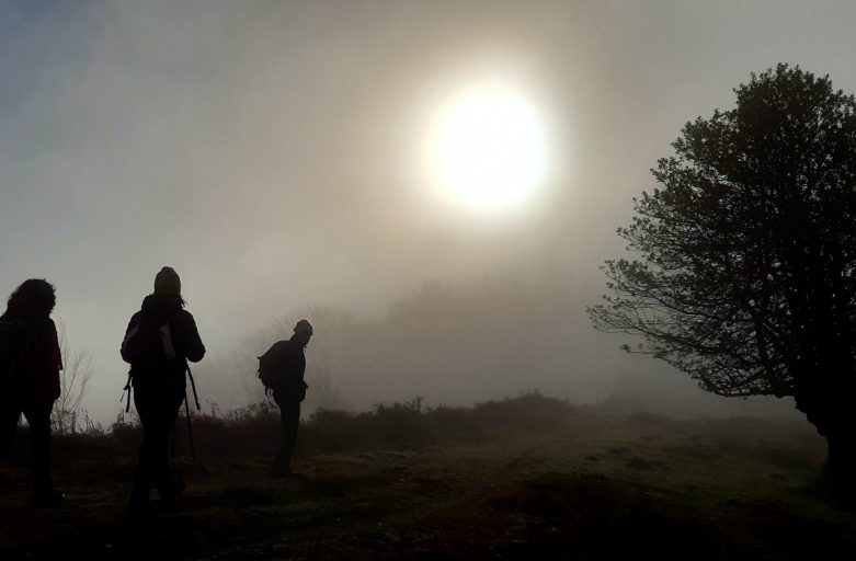 2020ko Argazki Lehiaketaren sari banaketa