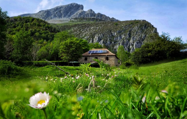 Borda Abau - Urdaburu