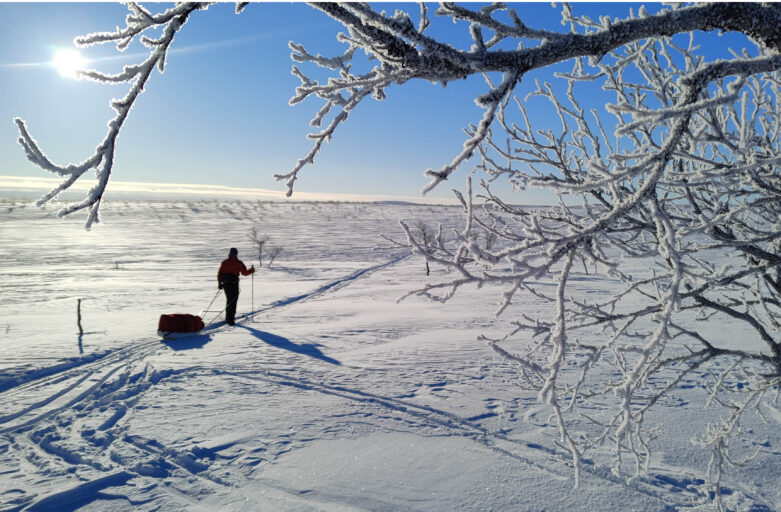 Proyección fotográfica: «Laponia 23. La agonía en Laponia, una ruta muy solitaria». Urdaburuko ekitaldiak