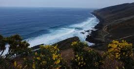 Irteera : Oarsoaldeko Birako bigarren etapa. Urdaburu irteerak