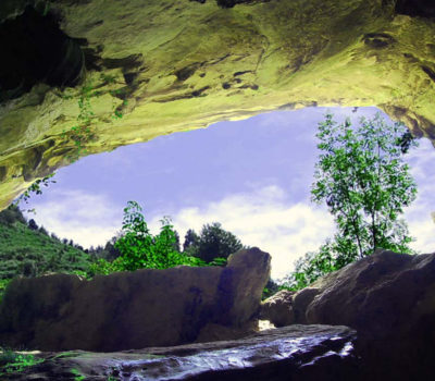 Landarbaso Trail