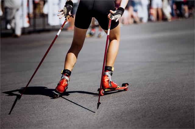 Arditurriko XVII Rollerski lasterketa